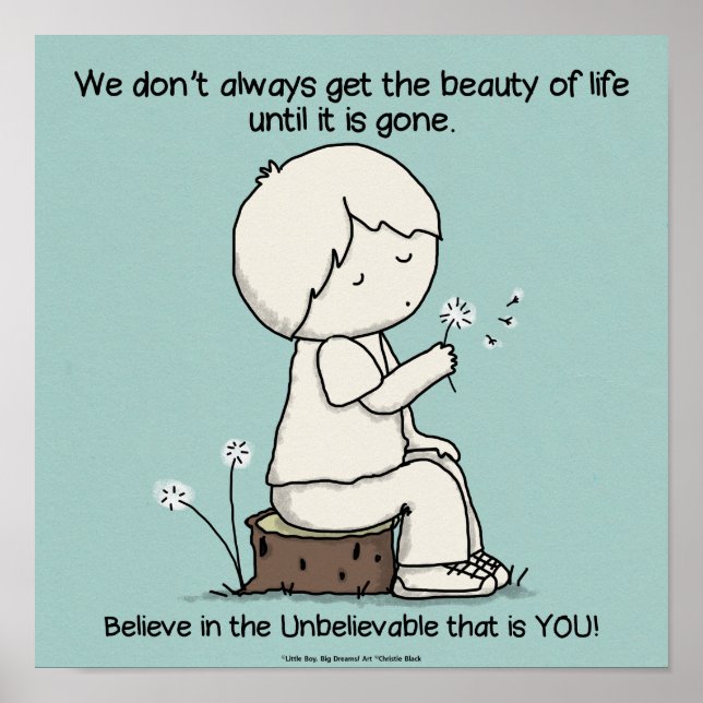 Poster Observe a beleza da vida (Frente)