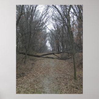 Poster Obstáculo na Estrada