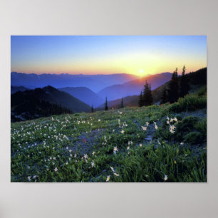Poster Obstruciton Point Sunset, Olympic NP, WA, USA
