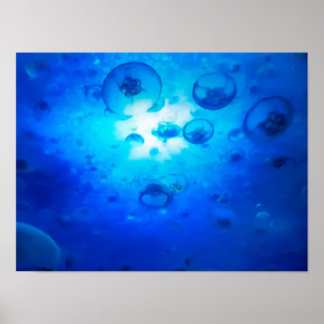 Poster Ocean Blue Jellyfish Foto (Frente)