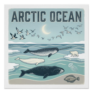 Póster Oceano Ártico