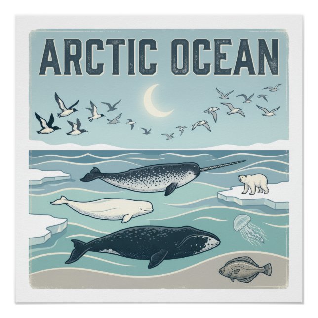 Póster Oceano Ártico (Frente)