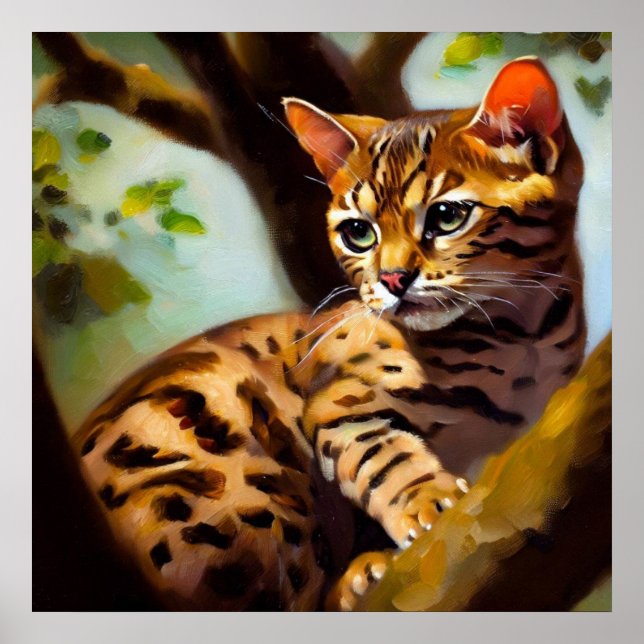 Poster Ocicat Cat (Frente)