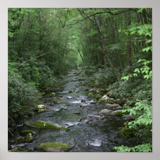 Póster Oconuluftee River View