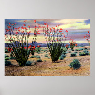 Póster Ocotillos do deserto arizona em Bloom