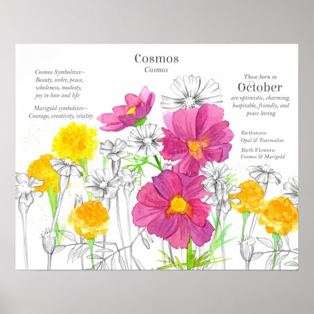 Poster October Birth Flower Language of Flowers Marigold (Frente)