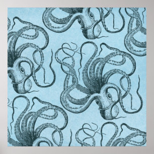 Poster Octopus azul