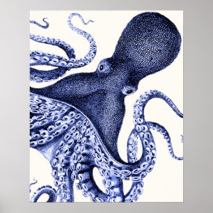 Poster Octopus Azul Paisagem