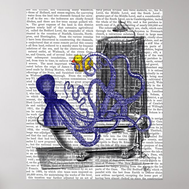 Póster Octopus em Bath (Frente)