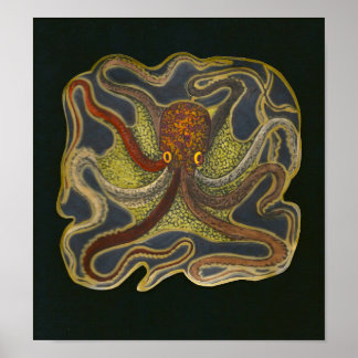 Póster Octopus Friend