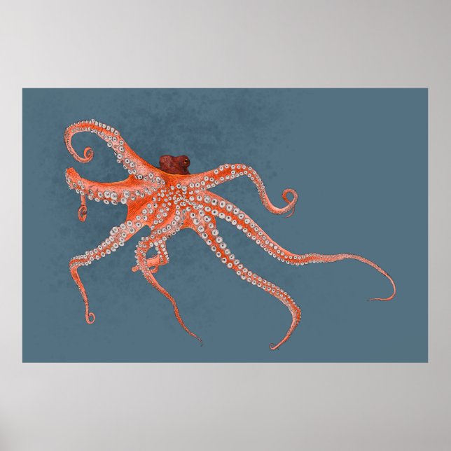 Poster Octopus Hugs (Frente)