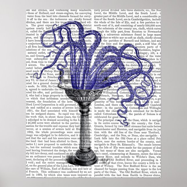 Póster Octopus no Sink (Frente)