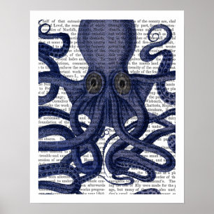 Poster Octopus para Cima - Fechar