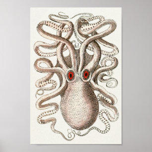 Póster Octopus Red Eye Cephalopold Sea Creatures Art Impr