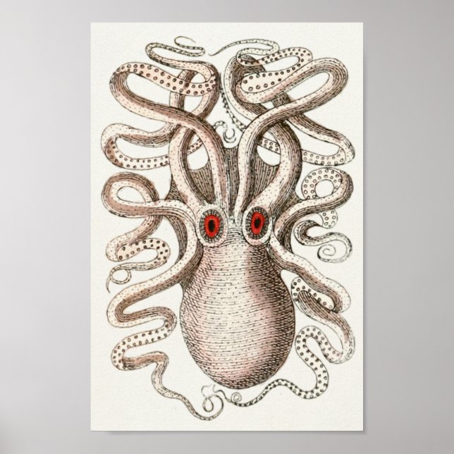 Póster Octopus Red Eye Cephalopold Sea Creatures Art Impr (Frente)