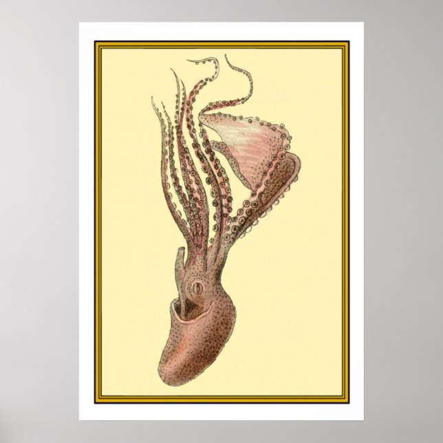 Poster Octopus Vintage (Frente)