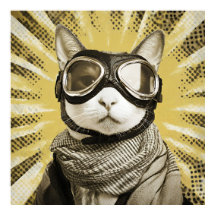 Óculos de Aviador Gato Sol Explosão Retrato