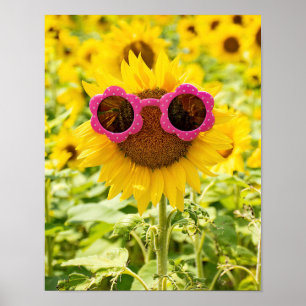 Poster Óculos de Sol Sobre Girassol