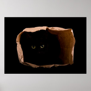 Poster Ocultando nas Sombras