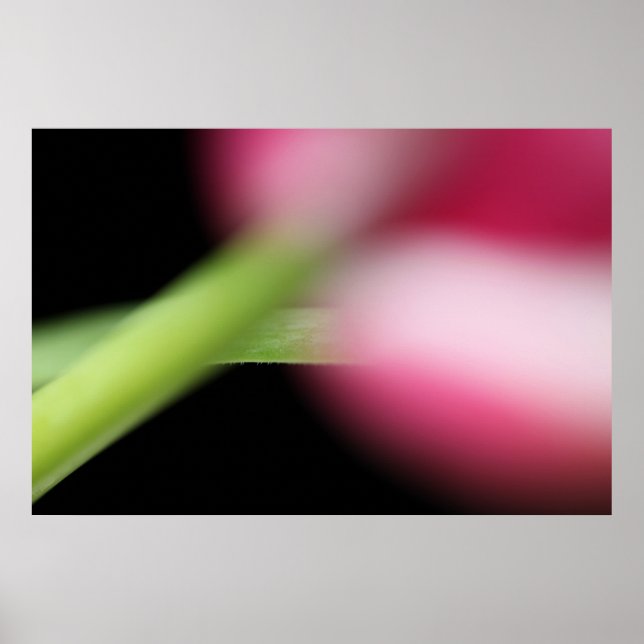 Póster Ocultar (Frente)