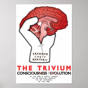 Poster Ocupe o Trivium