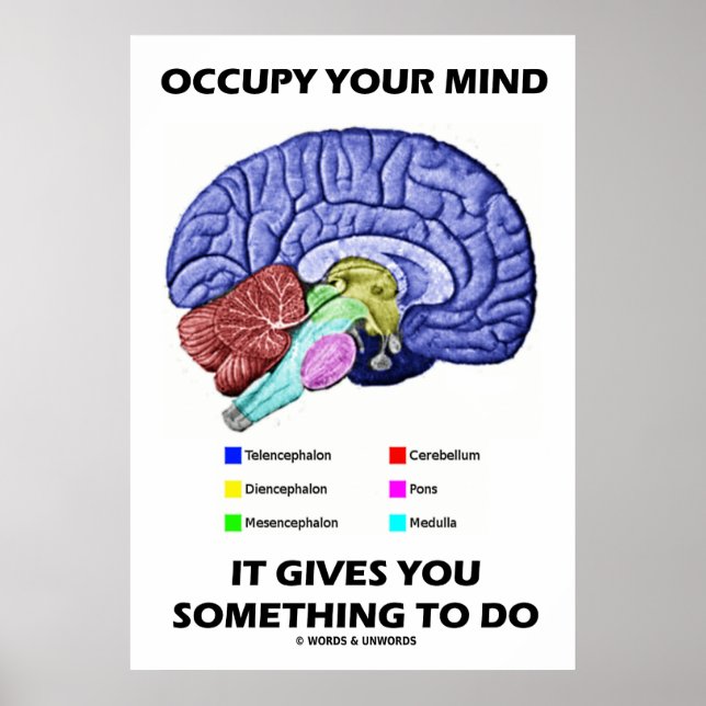 Poster Ocupe Sua Mente Que Te Dá Algo A Fazer (Frente)