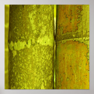 Póster Ode ao bambu