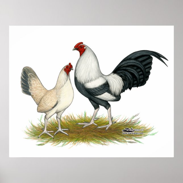 Póster OE Game Blue Silver Wheaten (Frente)