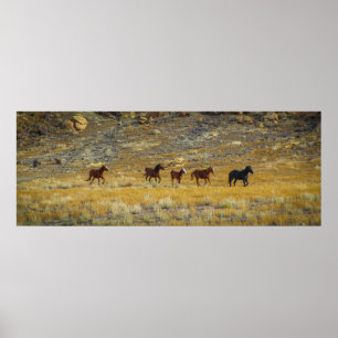 Poster Oeste Selvagem