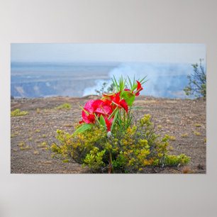 Poster Oferta à Pele, Deusa Vulcânica Havaiana