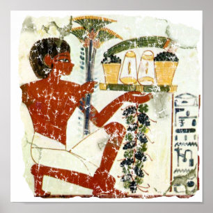 Póster oferta de menino