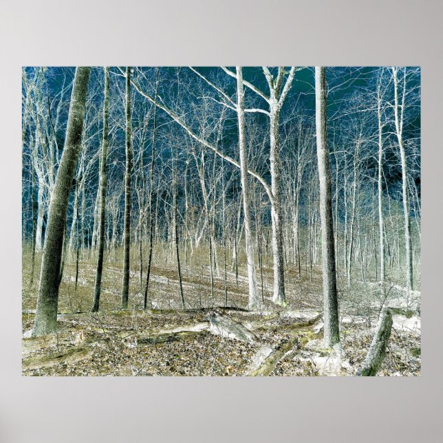 Poster Off the Path version 1 (Frente)