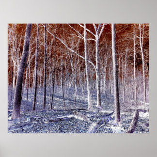 Poster Off the Path version 2