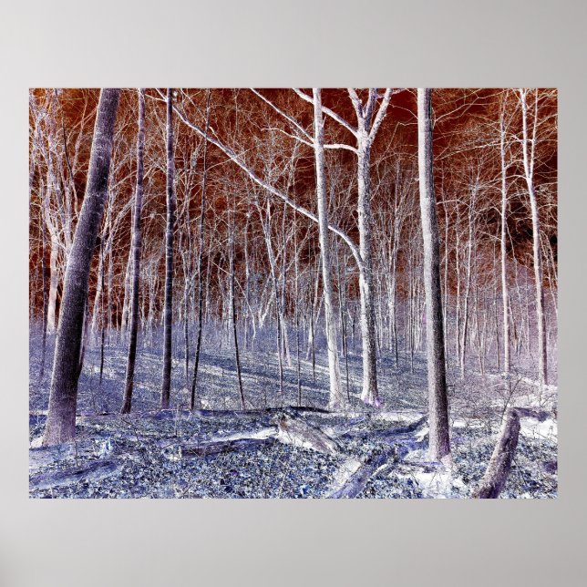 Poster Off the Path version 2 (Frente)