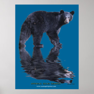 Poster OFICIAL do URSO HUGGER