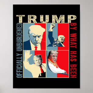 Poster Oficialmente Descarregado Pelo Que Foi Trump Victo