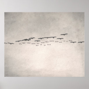 Poster "oh, como confiam "