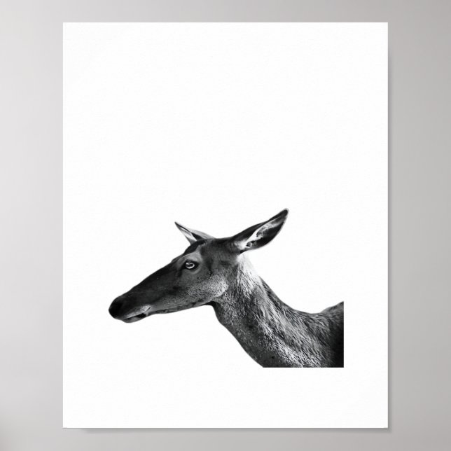 Poster Oh Deer Estilo Estético Moderno  (Frente)