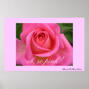 Póster oh, tão cor-de-rosa!