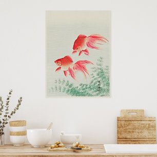Poster Ohara Koson Dois Peixes Dourados Véu - Cartaz de A