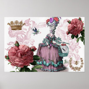 Póster oiseaux auxiliar da gaiola do la (o Birdcage)