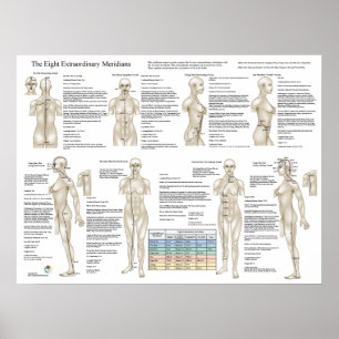 Poster Oito Meridianos Extraordinários de Acupunctura Ex