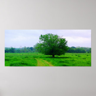 Póster Oka’ Yanahli (Saturação a cores)