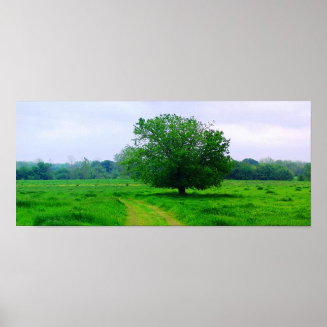 Póster Oka’ Yanahli (Saturação a cores) (Frente)