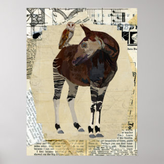 Póster OKAPI & OWL Art