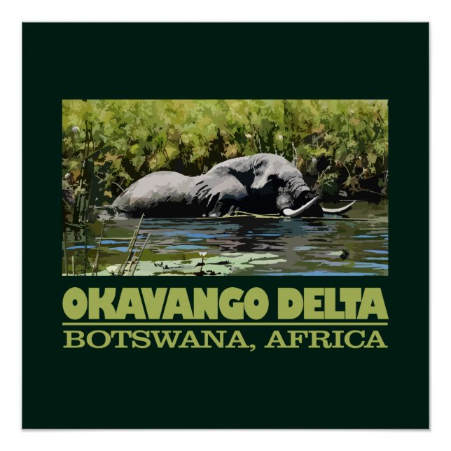 Póster Okavango Delta (Frente)