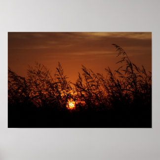Poster Oklahoma Sunrise