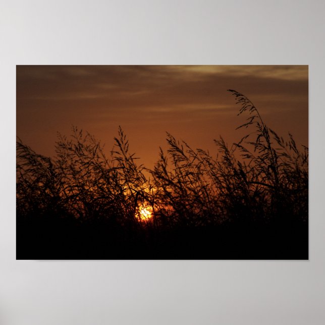 Poster Oklahoma Sunrise (Frente)