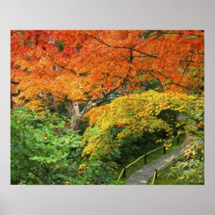 Póster Okochi Sanso, Arashiyama, Kyoto, Japão 2