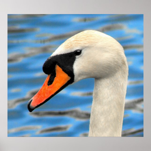 Poster Olá (Frente)